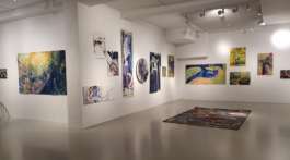 Mirjam_BluemlAusstellung_Akedemiegalerie_2024.png 